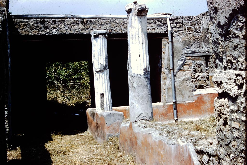 V.3.4 Pompeii. 1961. Looking north-east across portico area. Photo by Stanley A. Jashemski.
Source: The Wilhelmina and Stanley A. Jashemski archive in the University of Maryland Library, Special Collections (See collection page) and made available under the Creative Commons Attribution-Non Commercial License v.4. See Licence and use details.
J61f0853  
According to Wilhelmina, the low wall around the garden had an entrance in the west wall, which was approximately 0.80m high.
It was decorated with plants and flying birds painted on a red background.
See Jashemski, W. F., 1993. The Gardens of Pompeii, Volume II: Appendices. New York: Caratzas. (p.114).