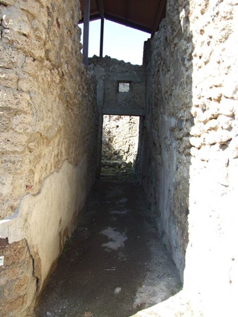 V.3.6 Pompeii. March 2009. Corridor leading to triclinium and garden at rear.
According to NdS, on the right and to the rear of the wall on the background of white plaster, coarse painted birds could be seen.
Higher up on the walls in the corridor, painted on white panels separated by red lines, were birds, griffins, panthers, etc.
See Notizie degli Scavi, (p.566)