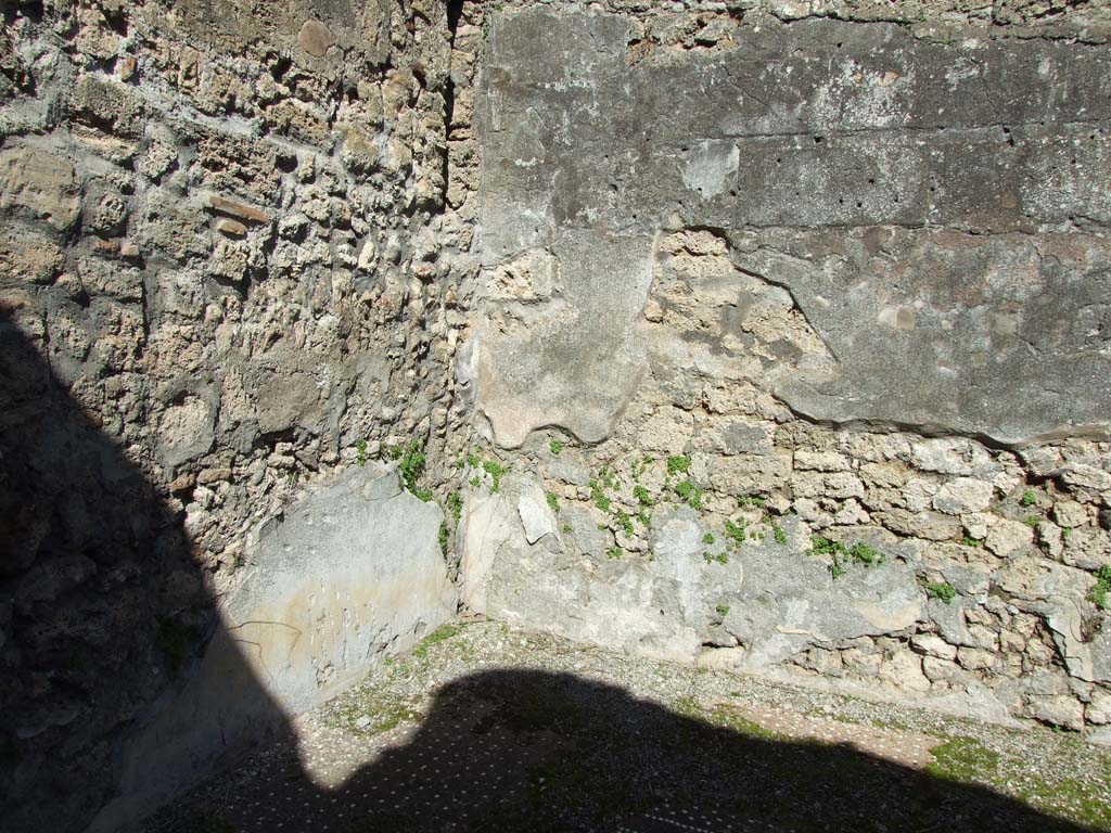 V.3.8 Pompeii. March 2009. Tablinum with two windows. 
East wall and north-east corner, with remains of 1st-Style (first style) decoration and floor decoration.