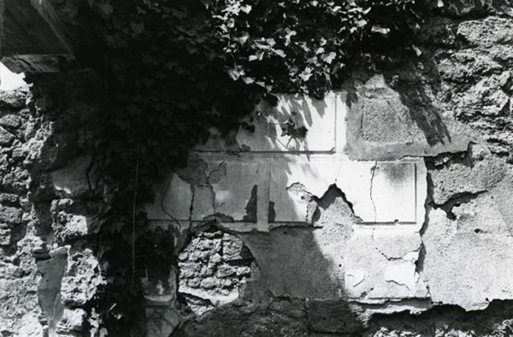 V.3.8 Pompeii. 1972. Tablinum, W wall, left S side.  Photo courtesy of Anne Laidlaw.
American Academy in Rome, Photographic Archive. Laidlaw collection _P_72_24_27.