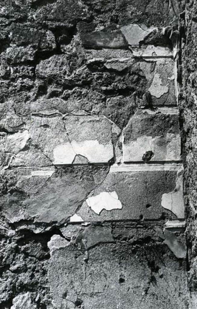 V.3.8 Pompeii. 1972. Tablinum W wall, right side.  Photo courtesy of Anne Laidlaw.
American Academy in Rome, Photographic Archive. Laidlaw collection _P_72_24_25.
