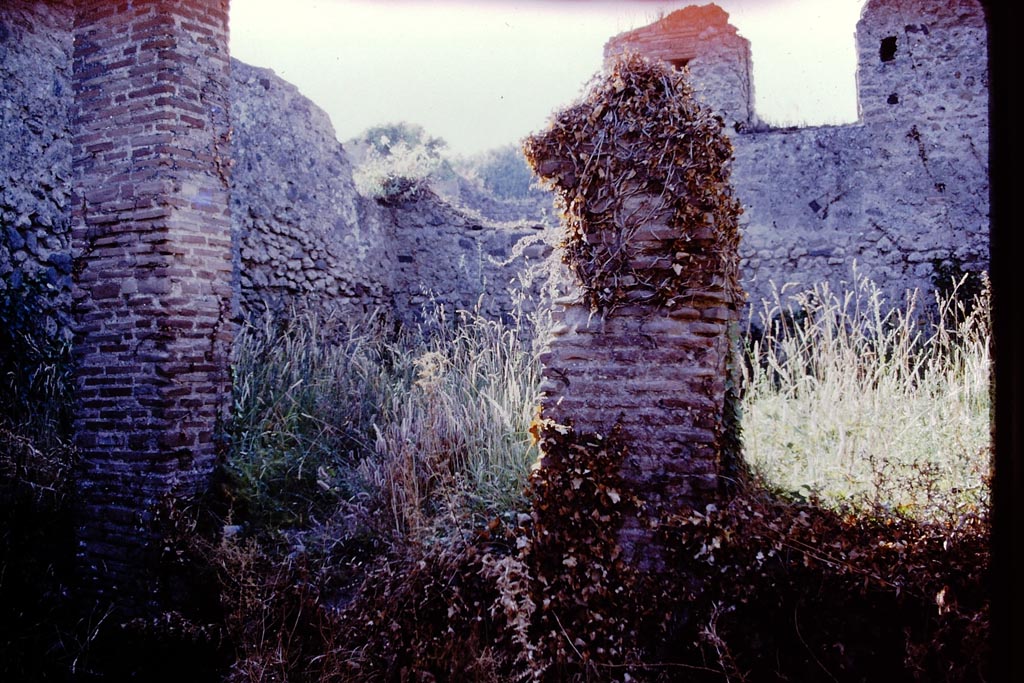 V.3.8 Pompeii, 1978. Looking north across garden (a). Photo by Stanley A. Jashemski.   
Source: The Wilhelmina and Stanley A. Jashemski archive in the University of Maryland Library, Special Collections (See collection page) and made available under the Creative Commons Attribution-Non Commercial License v.4. See Licence and use details.
J78f0282