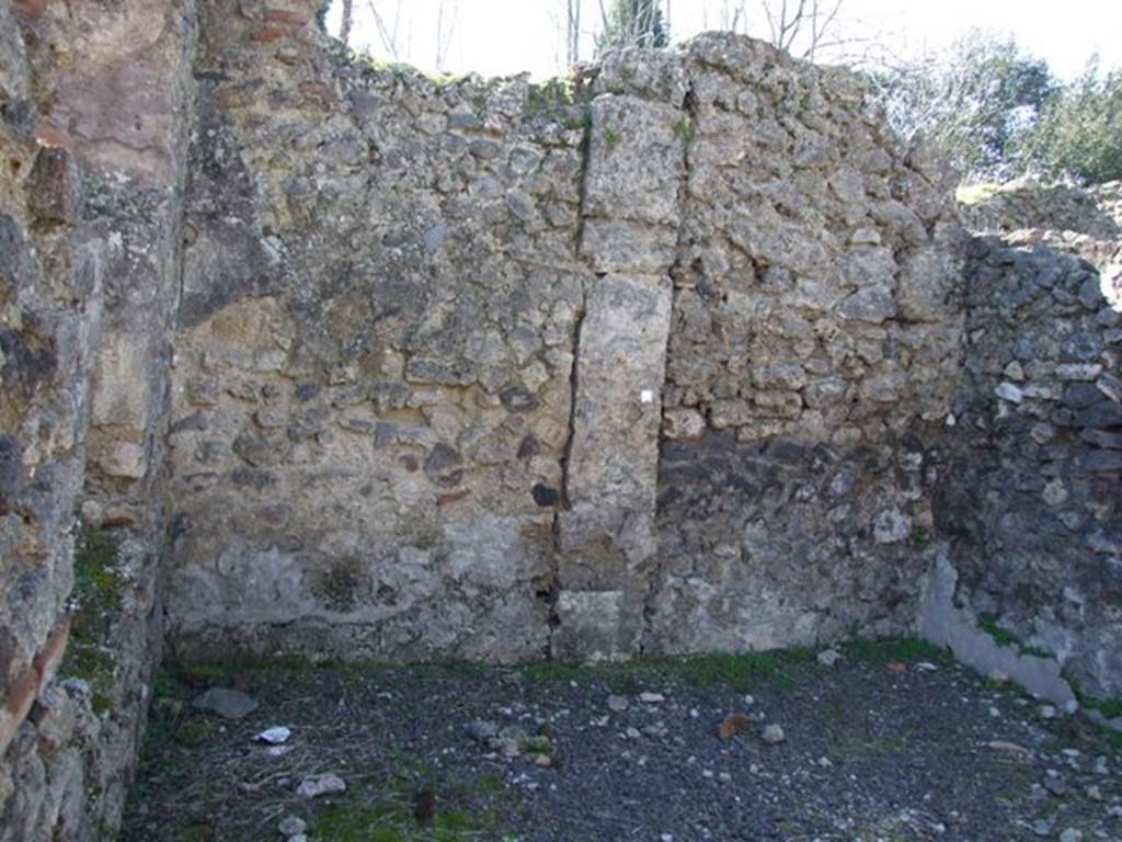 V.3.9 Pompeii. March 2009. West wall of triclinium D.