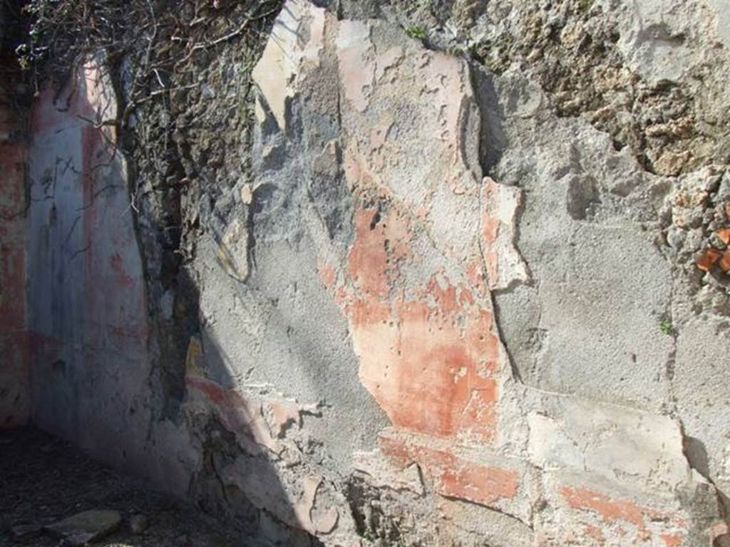 V.3.10 Pompeii. March 2009. North wall of cubiculum.