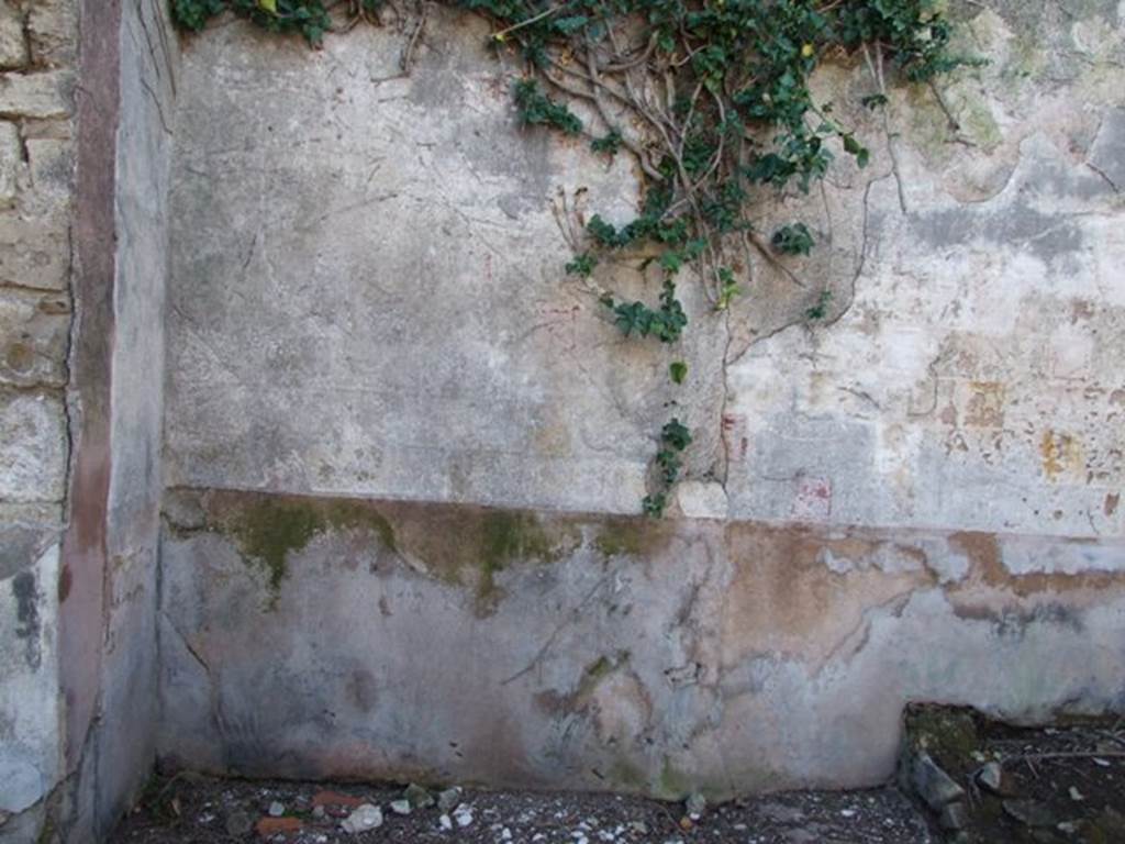 V.3.10 Pompeii. March 2009. West wall of south portico in the garden area.