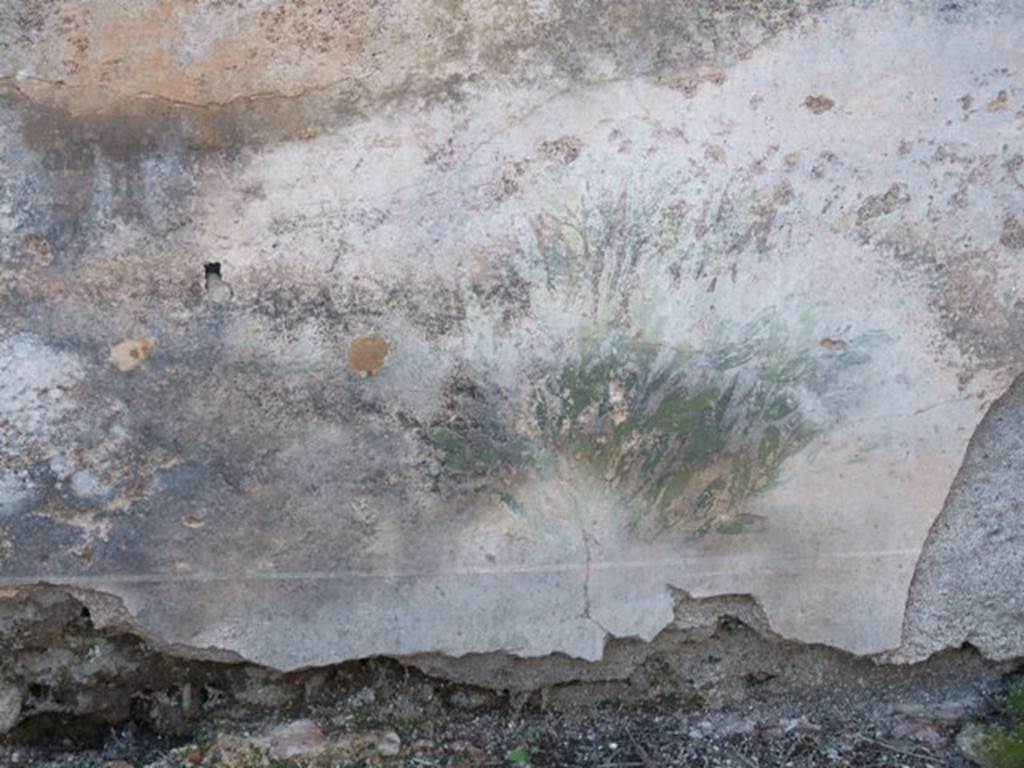V.3.10 Pompeii. March 2009. Painted plants described as blue Iris and Cactus on west wall of triclinium. See Warscher, T., 1925. Pompeji: Ein Führer durch die Ruinen. Berlin und Leipzig: de Gruyter, p 125 .