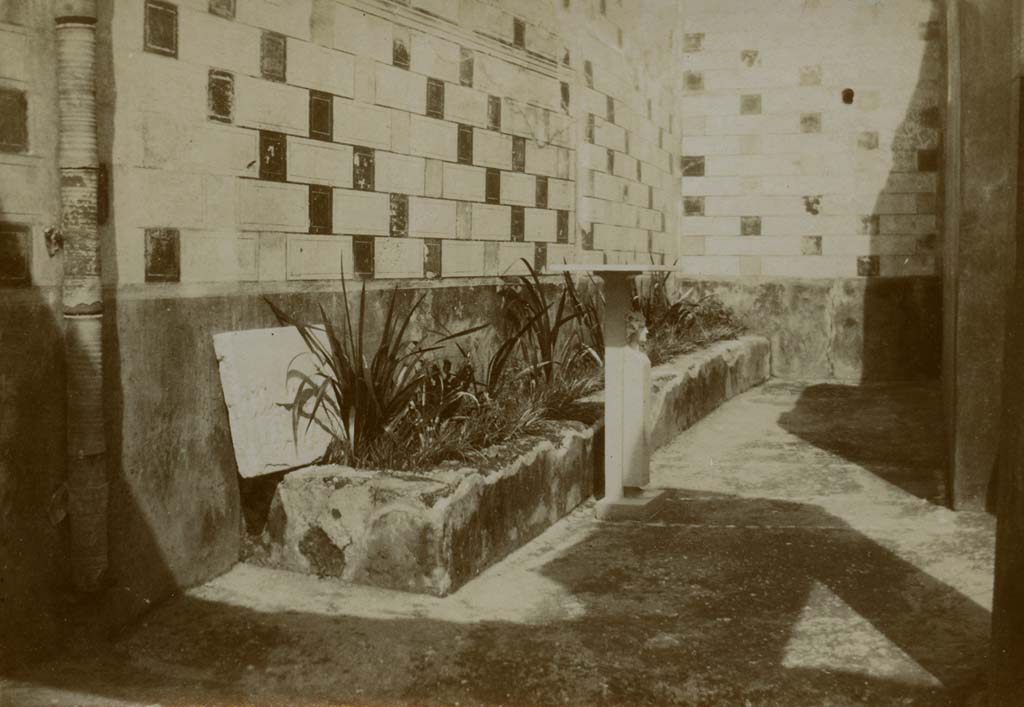 V.3.10 Pompeii. 1903. Looking north along raised narrow planting bed in garden area. 
Photo by Esther Boise Van Deman (c) American Academy in Rome. VD_Archive_Ph_215.