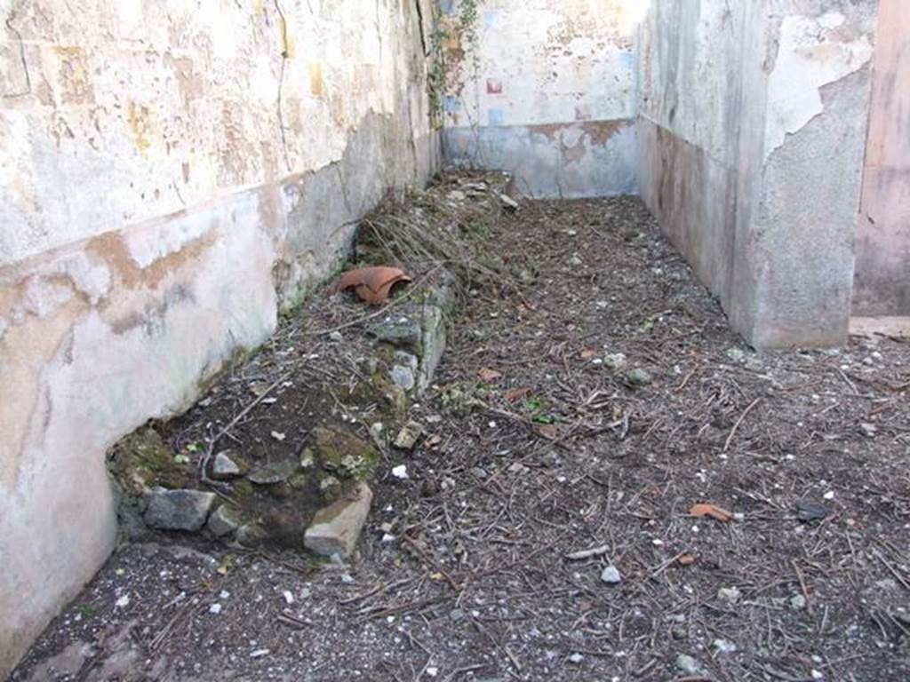 V.3.10 Pompeii.  March 2009.  Narrow raised planting bed built against the rear wall of the garden.