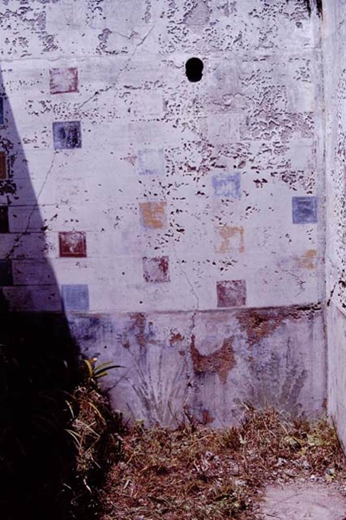 V.3.10 Pompeii. 1964. North wall of east portico. Photo by Stanley A. Jashemski.
Source: The Wilhelmina and Stanley A. Jashemski archive in the University of Maryland Library, Special Collections (See collection page) and made available under the Creative Commons Attribution-Non Commercial License v.4. See Licence and use details.
J64f1280