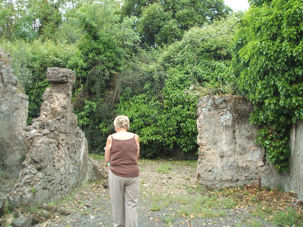 V.3.11 Pompeii. May 2005. Looking west across tablinum to small garden.
The threshold that gave onto the garden from the tablinum was adorned with different fragments of several marbles.