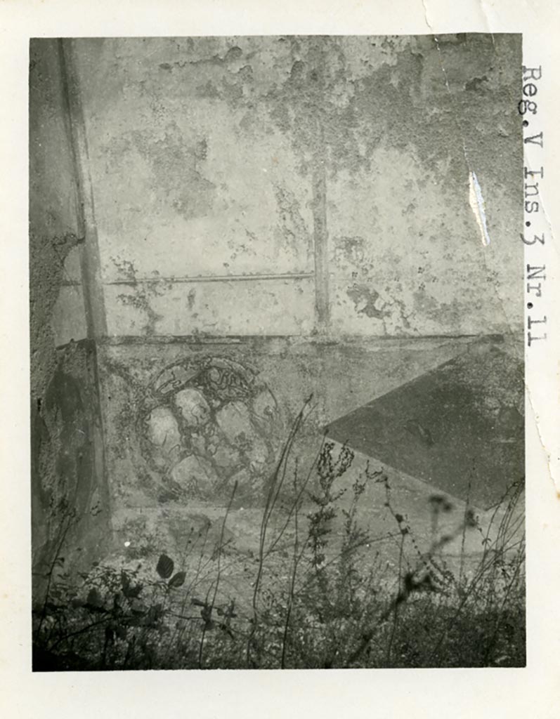 V.3.11 Pompeii. pre-1937-39. Painted zoccolo of imitation marble from north-west corner of tablinum.
Photo courtesy of American Academy in Rome, Photographic Archive. Warsher collection no. 684.