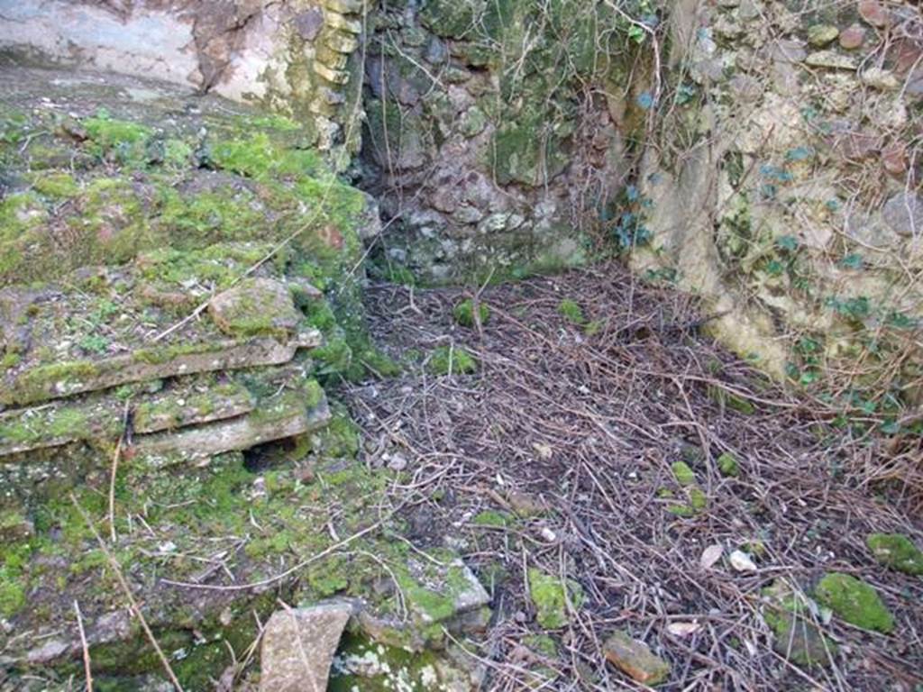 V.3.11 Pompeii. March 2009.  West side of  Aedicula Nymphaeum, site of couch of Biclinium.