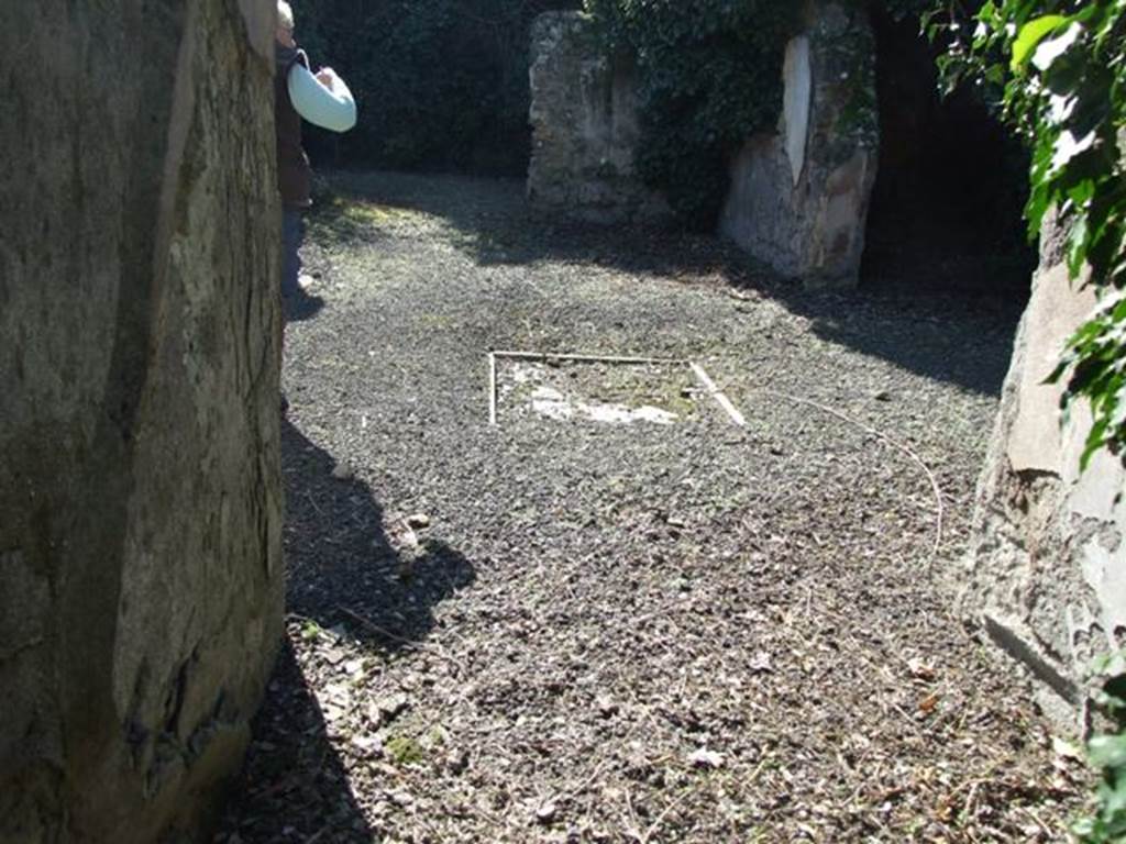 V.3.11 Pompeii. March 2009. West end of fauces, and floor of atrium with impluvium.
According to NdS, between the entrance corridor and the atrium was another door, of which only the iron hinges remained. The doorjambs imitated a sort of very coarse yellow marble with red veins and white spots. The impluvium did not match exactly the central axis between the doorway and the large room at the rear, but seemed somewhat shifted northwards. See Notizie degli Scavi, 1902, (p.369-70)