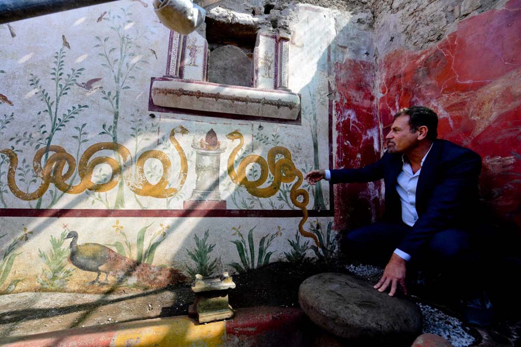 V.3.13 Pompeii. 2018. Room 2a. Lararium. East wall.
Massimo Osanna points to the painted lararium wall, with the wall with the painted animal scene behind him.
Under the painted altar is a small altar found in the small garden.
Parete est. Massimo Osanna indica la parete dipinta del larario con la parete con la scena animale dipinta dietro di lui.
Sotto l'altare dipinto è un piccolo altare trovato nel piccolo giardino.
Foto per gentile concessione di Ciro Fusco / Parco Archeologico di Pompei.
