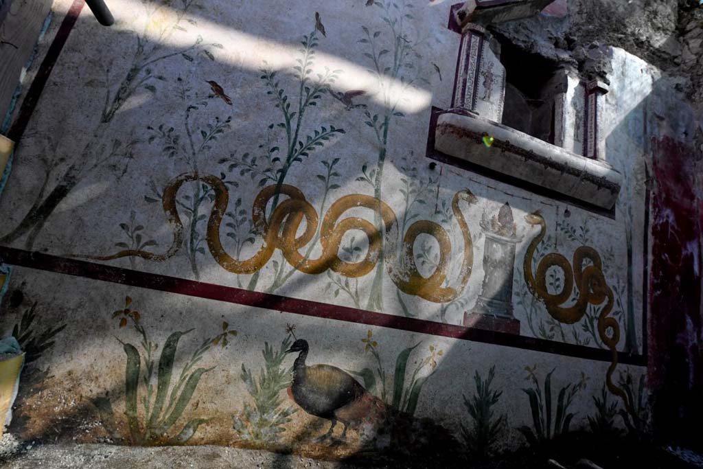 V.3.13 Pompeii. 2018. Room 2a. Lararium. East wall.
Painted plants blend and mix in the room with the real ones which must have thrived in the flowerbed under the lararium.
A painted peacock seems to tread the earth of the garden.
Parete est. Si mescolano e confondono nell'ambiente, piante dipinte con quelle vere che dovevano crescere rigogliose nell'aiuola sottostante il larario, mentre un pavone dipinto sembra calpestare il terreno del giardino.
Photograph © Parco Archeologico di Pompei.