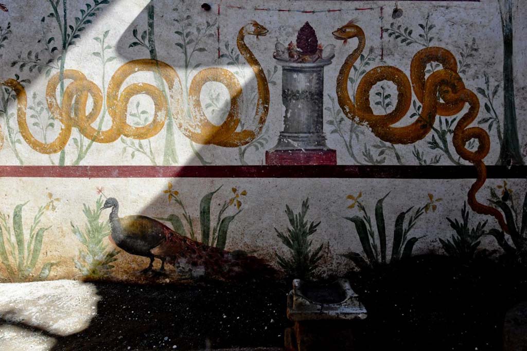 V.3.13 Pompeii. 2018. Room 2a. Lararium. East wall.
The painted altar with offerings (a pinecone and eggs) between the two serpents, is mirrored by a stone arula (small altar) found in the small garden.
Parete est. L'ara dipinta al centro dei due serpenti, con le offerte (la pigna e le uova), trova corrispondenza in un'arula (piccolo altare) in pietra ritrovata nel giardinetto.
Photograph © Parco Archeologico di Pompei.