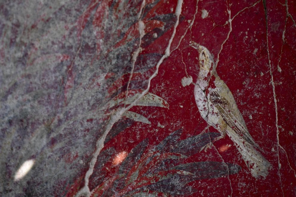 V.3.13 Pompeii. 2018. Room 2a. Lararium. South wall. Painting of a bird.
Parete sud. Dipinto di un uccello.
Photograph © Parco Archeologico di Pompei.