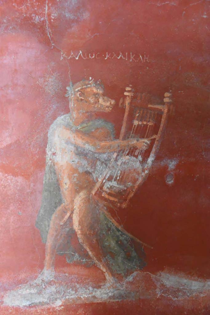 V.3.13 Pompeii. 2022. Room 2b, west wall between 3b and 3c. 
Remains of painting of dog with cithara and inscription above found next to the wooden cabinet.
Resti di un dipinto di cane con cetra e iscrizione sopra trovati accanto al gabinetto di legno.
Photograph © Parco Archeologico di Pompei.