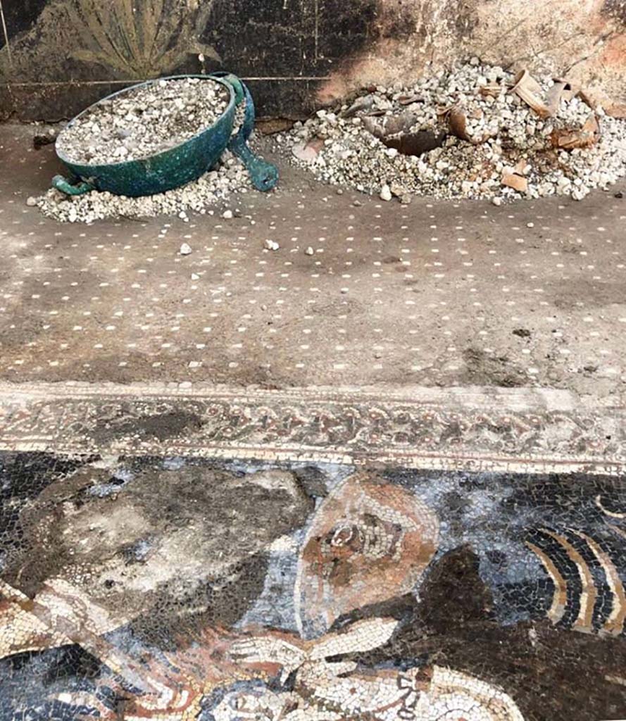 Regio V Pompeii. 2018. House of Jupiter. Bronze utensils and terracotta items on floor in room with the Orion mosaic.
Casa di Giove. Utensili in bronzo e oggetti in terracotta sul pavimento nell’ambiente con il mosaico di Orione.
Photograph © Parco Archeologico di Pompei.