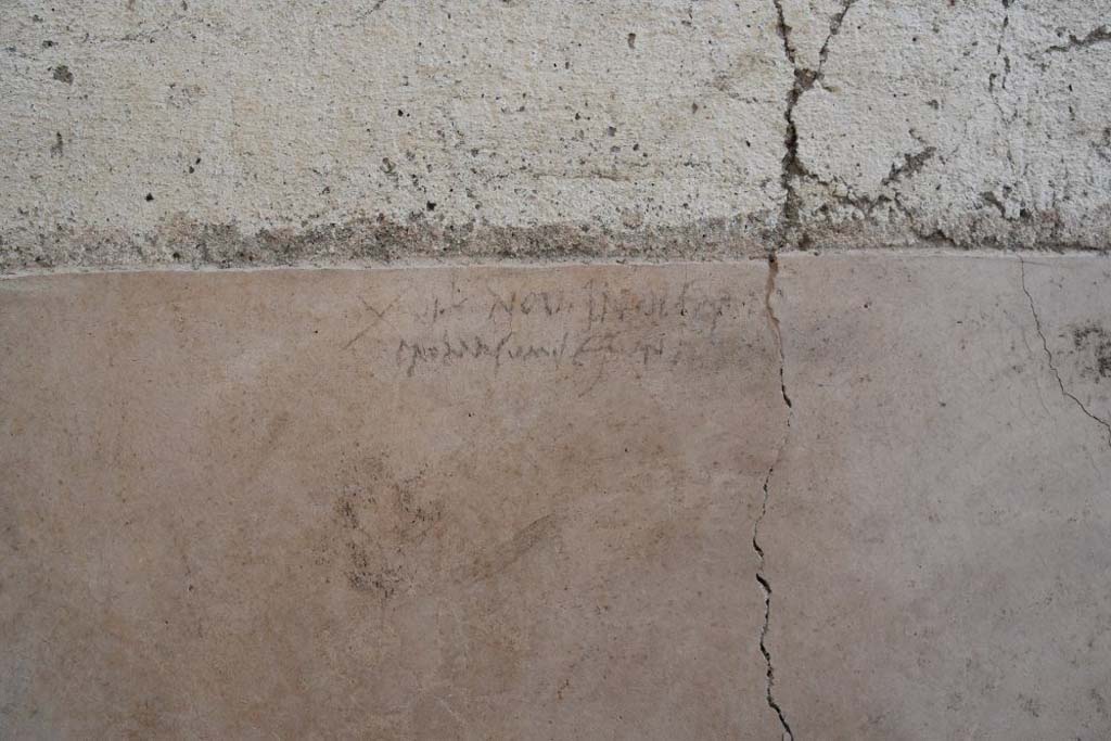 V.3 Pompeii. Casa del Giardino. October 2018. Atrium 5. Charcoal Inscription. 
The walls of the atrium and the entrance corridor have preserved a considerable amount of graffiti, in the course of study, with phrases, in some cases of obscene character, and with drawings (including some stylized faces). In an unusual way, drawings traced with lime or plaster have been preserved in good condition, including one depicting a caricatured human face in profile, and with charcoal, also in this case human faces. Between these latter is also this charcoal inscription, which would support the hypothesis that the eruption of 79 AD may have occurred October 24, rather than August 24th.
Atrio 5. Iscrizione al carbone.
Le pareti dell’atrio e del corridoio di ingresso hanno conservato una notevole quantità di graffiti, in corso di studio, con frasi, in alcuni casi di carattere osceno, e con disegni (tra cui alcuni volti stilizzati). In maniera insolita, si sono conservati in buone condizioni, disegni tracciati con calce o gesso, tra cui uno raffigurante un volto umano caricaturale di profilo, e con carbone, anche in questo caso volti umani. Tra quest’ultimi anche l’iscrizione a carboncino, che supporterebbe l’ipotesi che l’eruzione del 79 d.C. possa essere avvenuta il 24 ottobre, piuttosto che il 24 agosto.
Photograph © Parco Archeologico di Pompei.