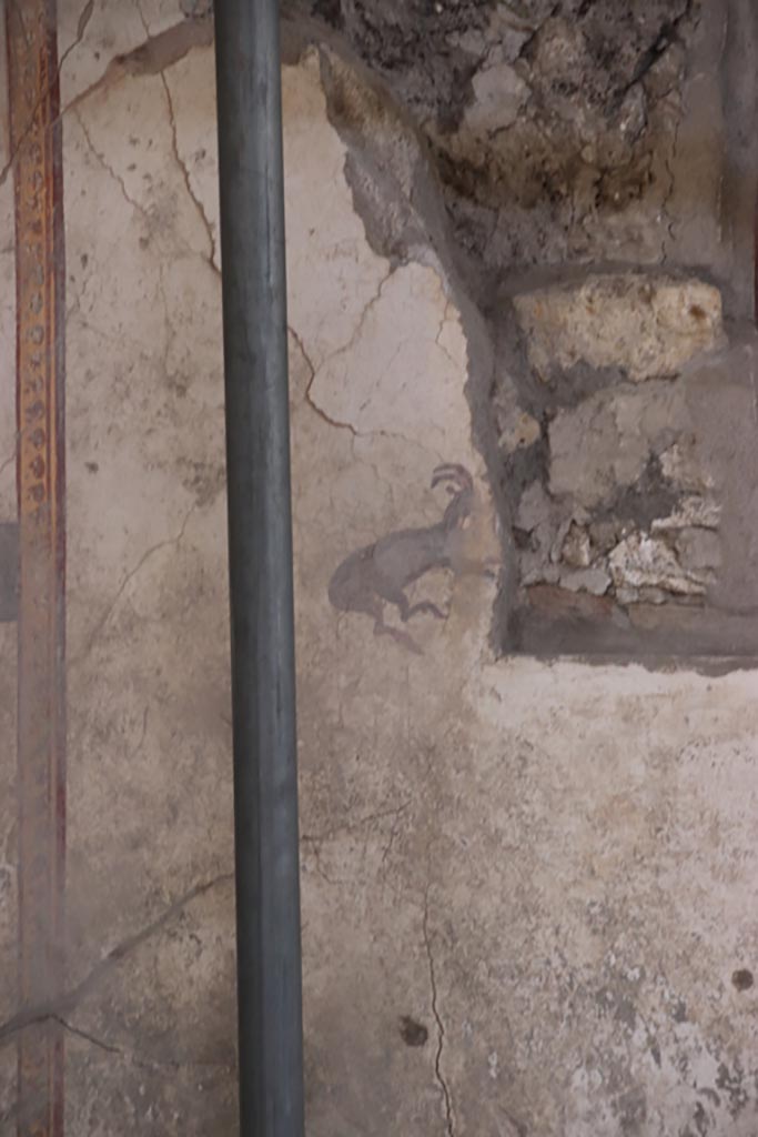 V.3 Pompeii. Casa del Giardino. October 2022. 
Room 7, detail of painted goat from south end of west wall. Photo courtesy of Klaus Heese.