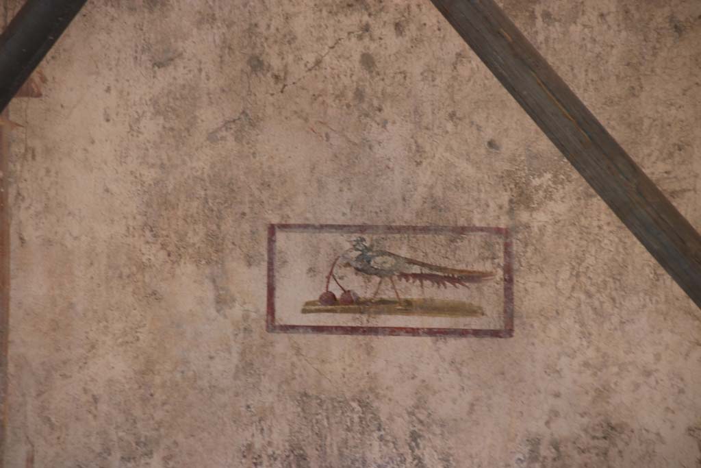 V.3 Pompeii. Casa del Giardino. September 2021. 
Room 7, detail of painted panel with bird with cherries from the centre of the west wall. Photo courtesy of Klaus Heese.