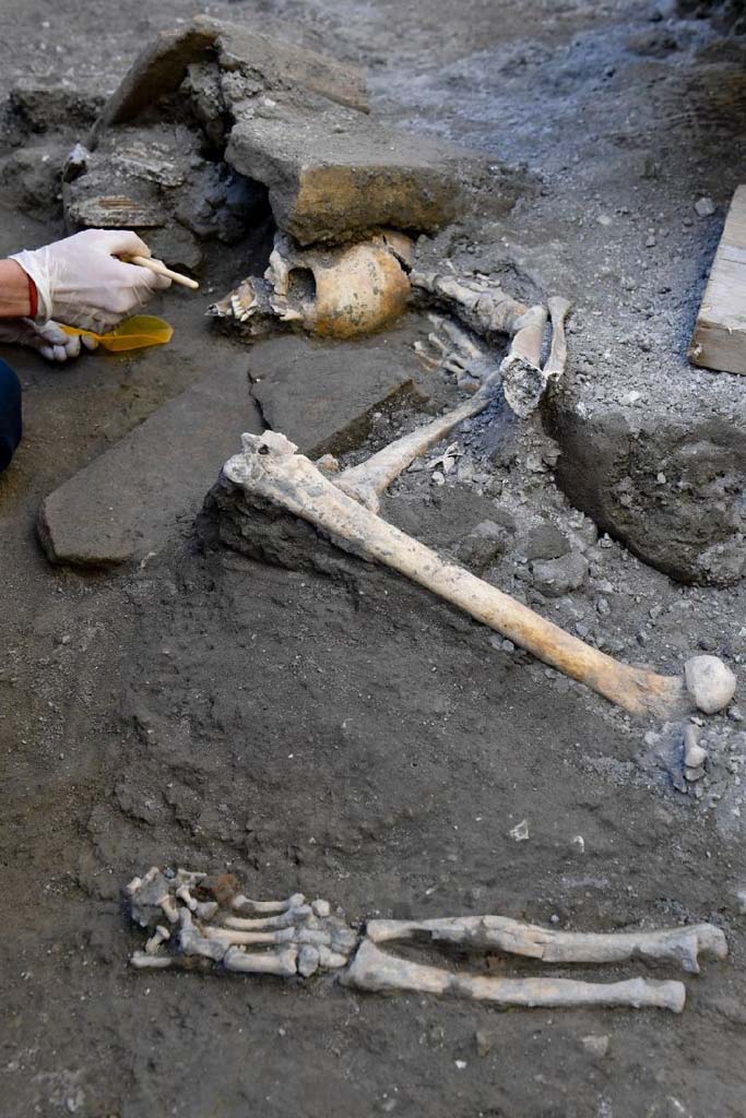 V.3 Pompeii. Casa del Giardino. October 2018. Ambiente 8. Scattered skeletal remains.
The skull of one of the victims, crushed by roof tiles, lies alongside the upper and lower limbs of another individual, still in situ, while the remains of a ring worn on the finger and other small hand held objects, spared from looting, resurfaced at a distance and not connected to the rest of the body.
Ambiente 8. Resti scheletrici sparsi.
il cranio di una delle vittime, schiacciato dalle tegole del tetto, giace accanto agli arti inferiori e superiori di un altro individuo, mentre resti di un anello indossato al dito e altri piccoli oggetti stretti tra le mani, sfuggiti al saccheggio del luogo, riaffiorano lontani e non in connessione con il resto del corpo.
Photograph © Parco Archeologico di Pompei.