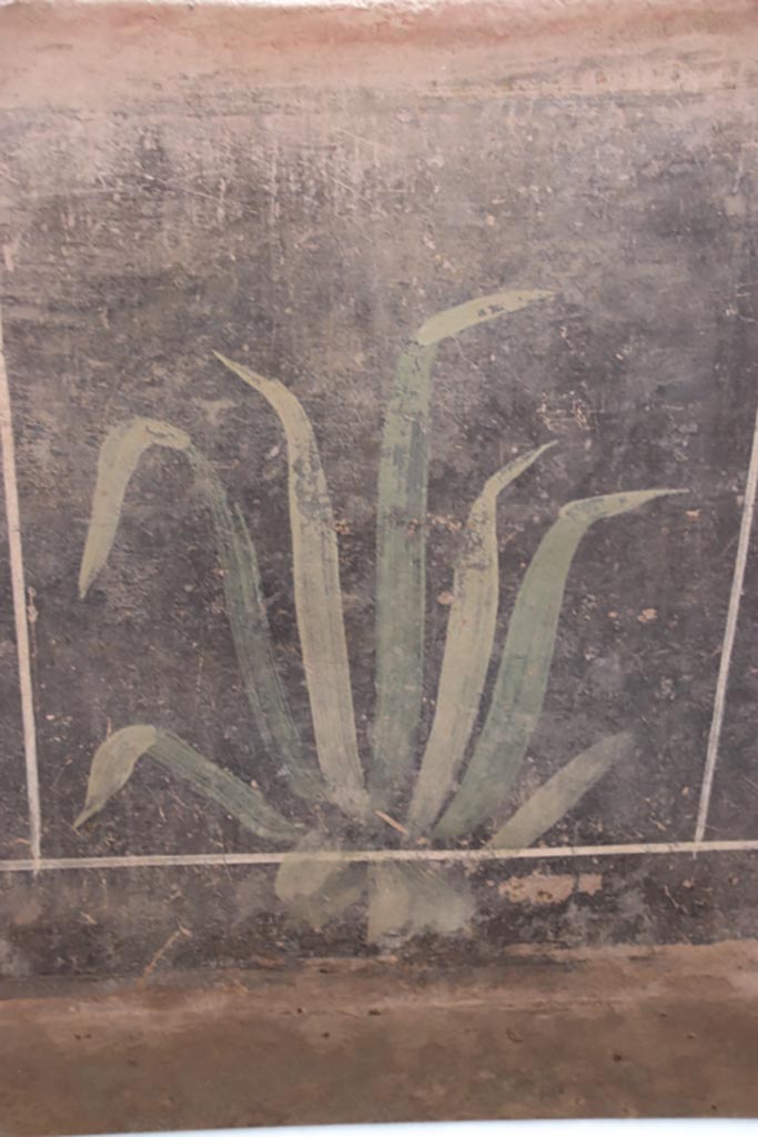 V.3 Pompeii. Casa del Giardino. October 2022. 
Portico 10, black zoccolo with painted plant. Photo courtesy of Klaus Heese.
