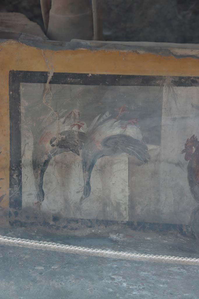 V.3 Pompeii, Thermopolium with painting of nereid. September 2021. 
Detail of painted dead birds on west side of counter in bar-room. Photo courtesy of Klaus Heese.
V.3 Pompeii, Thermopolium with painting of nereid. September 2021. 
Detail of painted dead ducks on west side of counter in bar-room. Photo courtesy of Klaus Heese.