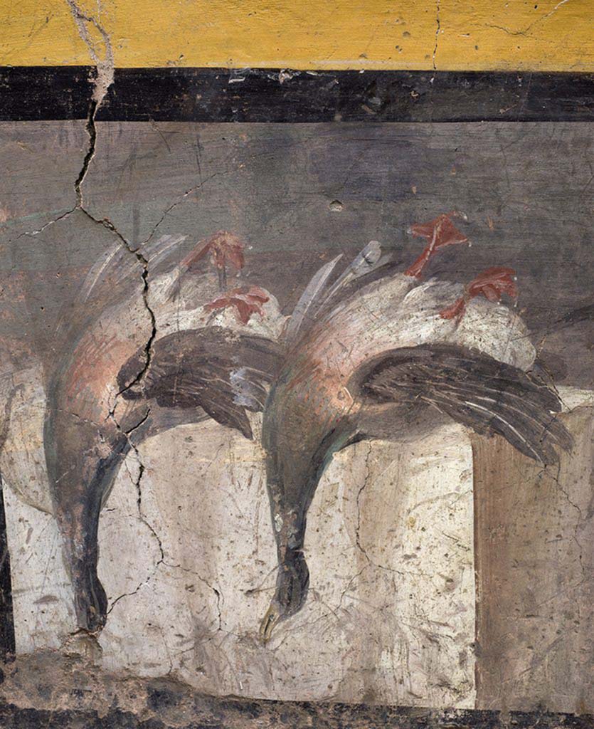 V.3 Pompeii, Thermopolium with painting of nereid. December 2020. Two mallard ducks shown upside down, ready to be cooked and eaten. 
Bone fragments belonging to the same animals were also discovered inside containers embedded in the counter.
V.3 Pompei, Termopolio con dipinto di nereide e anfore. Dicembre 2020. Due anatre germane esposte a testa in giù, pronte ad essere preparate e consumate, e un gallo. 
Frammenti ossei, pertinenti gli stessi animali, sono stati inoltre rinvenuti all'interno di recipienti ricavati nello spessore del bancone. 
Photo by Luigi Spina courtesy of Parco Archeologico di Pompei.