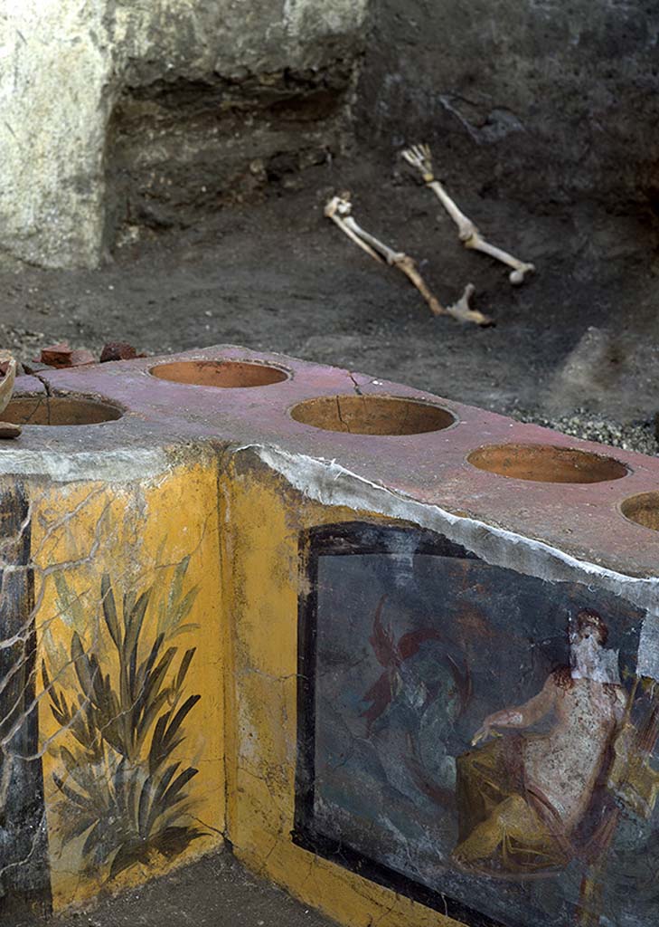 V.3 Pompeii, Thermopolium with painting of nereid. December 2020.
Inside the room - and particularly behind the counter where they were dragged by the first excavators - a significant number of human bones were found, belonging to a mature-senescent individual, of at least 50 years of age. An initial analysis made it possible to link these dispersed bones with what remained of an individual who was discovered in the innermost corner of the shop, and who, at the time the pyroclastic current arrived, was most likely on top of some kind of bed, as evidenced by the space set aside for storing the bed, and a series of nails and wood residues found under the body.
V.3 Pompei, Termopolio con dipinto di nereide e anfore. Dicembre 2020.
Erano presenti inoltre, all'interno della stanza - e in particolare dietro al bancone dove sono state trascinate dai primi scavatori- un buon numero di ossa umane pertinenti ad un individuo maturosenescente, di almeno 50 anni di età. Una prima analisi permette di associare queste ossa trascinate a ciò che resta di un individuo rinvenuto nell'angolo più interno della bottega, che verosimilmente al momento dell'arrivo della corrente piroclastica era posizionato al di sopra di un letto o una branda, come testimoniano il vano per l'alloggiamento del giaciglio e una serie di chiodi e residui di legno rinvenuti al di sotto del corpo.
Photo by Luigi Spina courtesy of Parco Archeologico di Pompei.