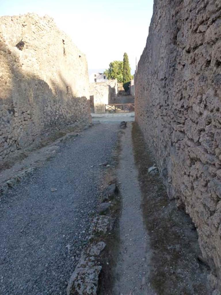 V.4.1 Pompeii, side wall. June 2012. Vicolo di M L Frontone looking south. V.3, on right. 
Photo courtesy of Michael Binns.
