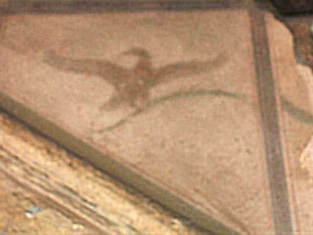 V.4.3 Pompeii. May 2005. Remains of aedicula lararium.  Painted bird.
According to Boyce, in each of the triangular panels above the pediment was painted an eagle in flight, holding a palm in its talons.
See Boyce G. K., 1937. Corpus of the Lararia of Pompeii. Rome: MAAR 14.  (p.40, no.118)