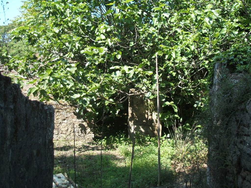 V.4.13 Pompeii.  May 2005.  Looking west from entrance fauces.