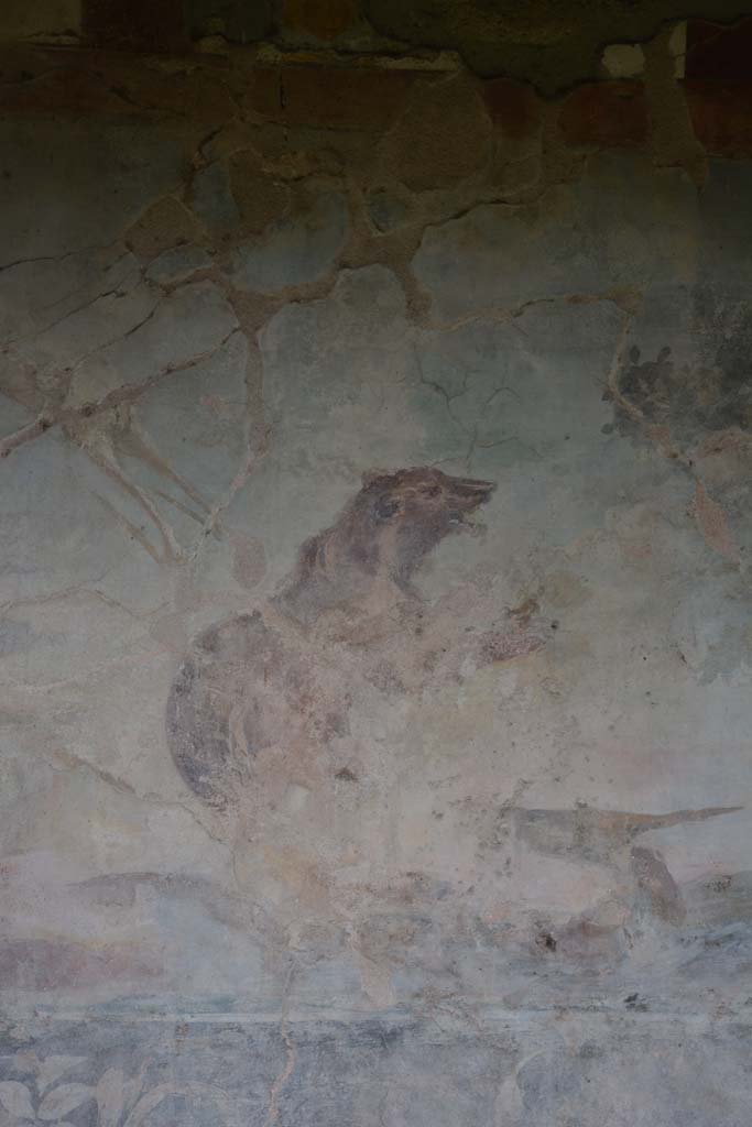 V.4.a Pompeii. March 2018. Room ‘l’ (L), detail of bear from north wall at west end.            
Foto Annette Haug, ERC Grant 681269 DÉCOR