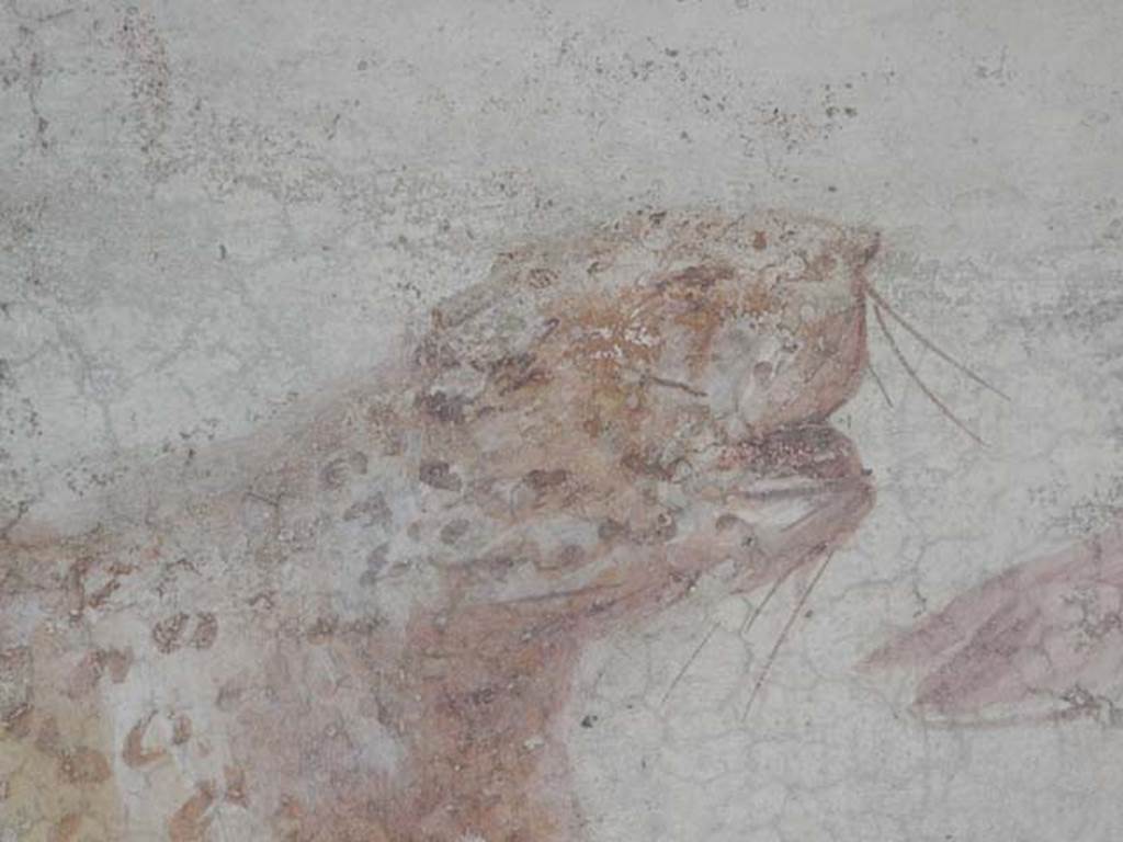 V.4.a Pompeii. May 2015. Detail of large spotted predatory cat on the north wall of the garden.  Photo courtesy of Buzz Ferebee.