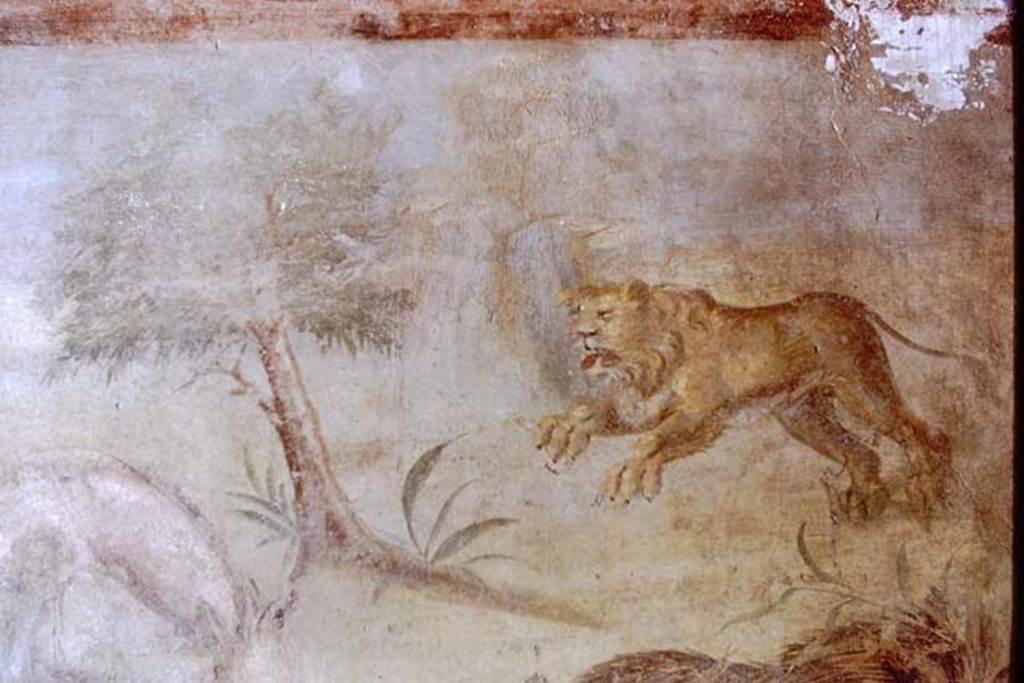 V.4.a Pompeii. 1968. Springing lioness, detail from north wall of garden, at east end.  Photo by Stanley A. Jashemski.
Source: The Wilhelmina and Stanley A. Jashemski archive in the University of Maryland Library, Special Collections (See collection page) and made available under the Creative Commons Attribution-Non Commercial License v.4. See Licence and use details.
J68f0661