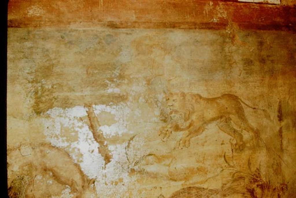 V.4.a Pompeii. 1957. Springing lioness, detail from north wall of garden, at east end.  Photo by Stanley A. Jashemski.
Source: The Wilhelmina and Stanley A. Jashemski archive in the University of Maryland Library, Special Collections (See collection page) and made available under the Creative Commons Attribution-Non Commercial License v.4. See Licence and use details.
J57f0364