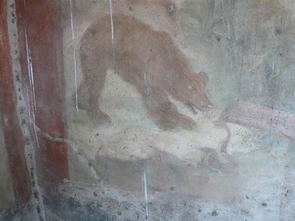 V.4.a Pompeii. May 2012. East wall of the garden. Close-up of a large bear, with head lowered, approaching a coiled snake that is ready to strike. Photo courtesy of Buzz Ferebee.