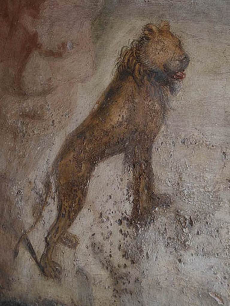V.4.a Pompeii. May 2014.  Hunting fresco of lion, from south wall of garden area. Photo courtesy of Paula Lock.