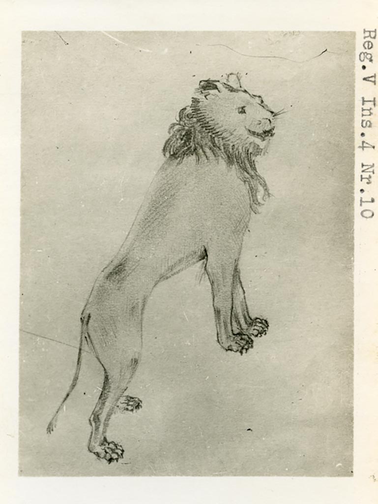 V.4.a Pompeii, but shown as V.4.10 on photo. Pre-1937-39. 
Room ‘l’ (L), drawing of garden painting of lion on south wall.
Photo courtesy of American Academy in Rome, Photographic Archive. Warsher collection no. 698.