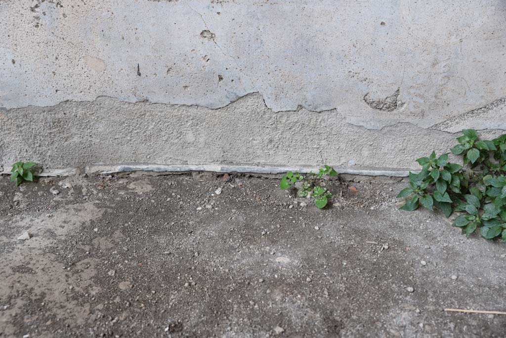 V.4.a Pompeii. March 2018. Room ‘t’, detail from lower west wall.
Foto Annette Haug, ERC Grant 681269 DÉCOR.
