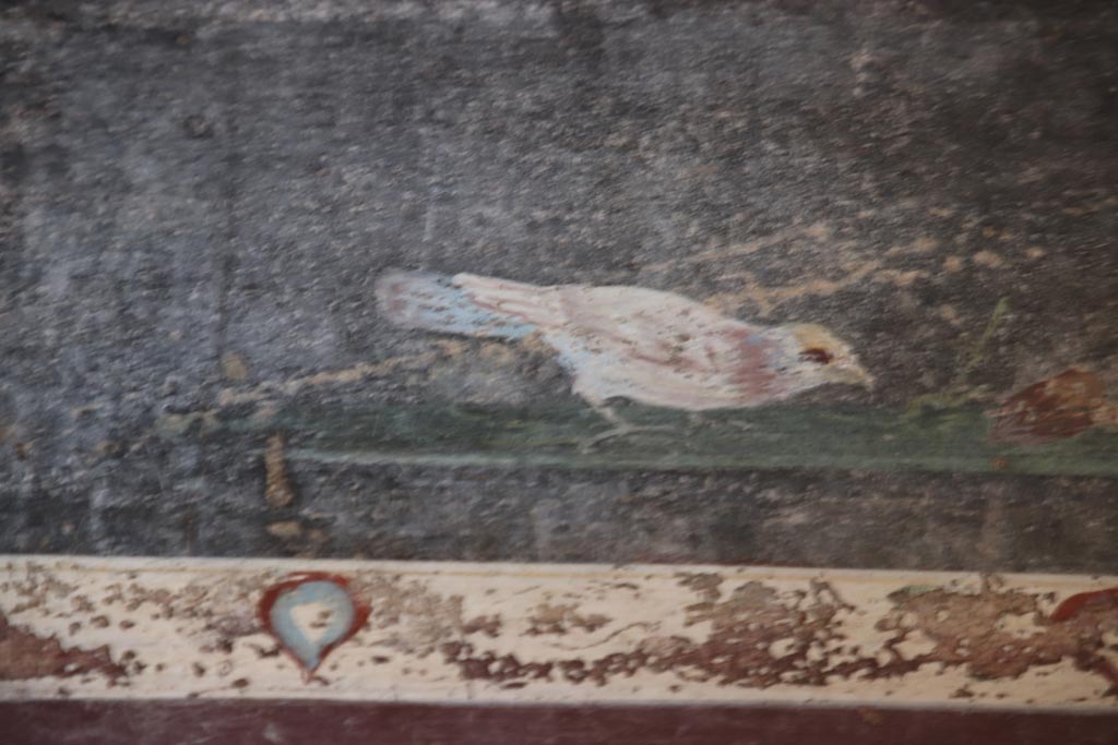 V.4.a Pompeii. October 2023. 
Room ‘g’, detail of painting of bird in predella, above lower north wall in north-east corner. Photo courtesy of Klaus Heese.