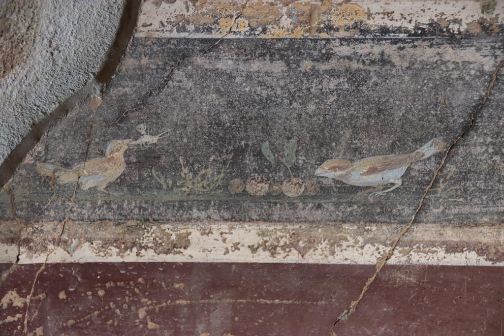 V.4.a Pompeii. October 2023.  
Room ‘g’, detail of painted birds from predella above zoccolo on lower east wall towards north end. Photo courtesy of Klaus Heese.