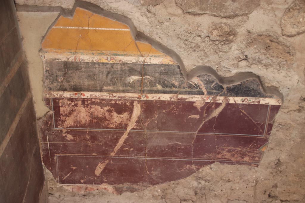 V.4.a Pompeii. October 2023. 
Room ‘g’, remaining zoccolo on lower south wall with painting of birds above it.  Photo courtesy of Klaus Heese.