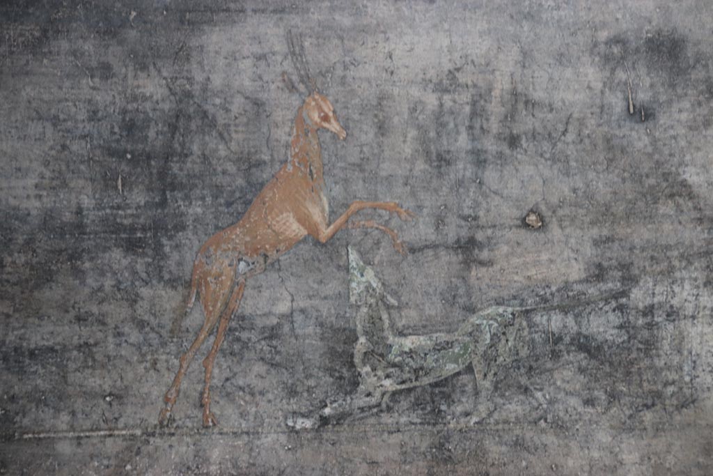 V.4.a Pompeii. October 2023. 
Room ‘b’, detail of painted deer and dog from centre of second panel from west side on north wall.  Photo courtesy of Klaus Heese.