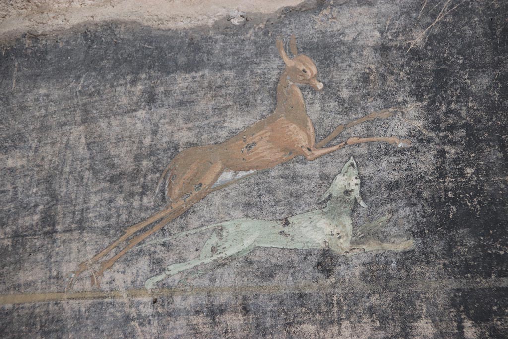 V.4.a Pompeii. October 2024. 
Room ‘b’, detail from panel on south wall between doorways to rooms ‘g’ and ‘f’. Photo courtesy of Klaus Heese.