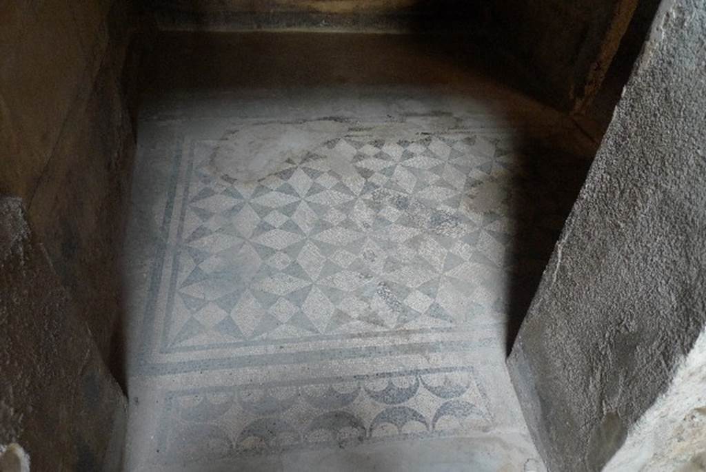 V.4.a Pompeii. July 2010. Room ‘c’, cubiculum on north side of atrium.
Mosaic floor in doorway to cubiculum on north side of entrance corridor. Photo courtesy of Michael Binns.