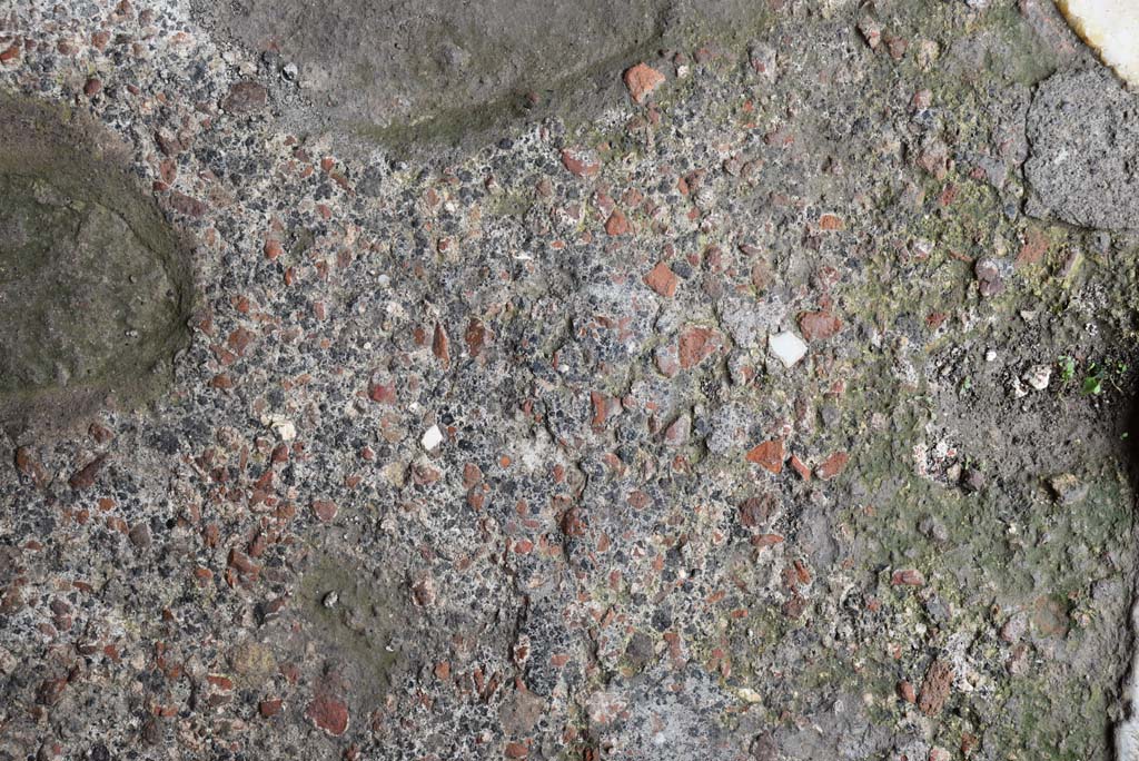 V.4.a Pompeii. March 2018. Detail of flooring in entrance corridor/fauces.     
Foto Annette Haug, ERC Grant 681269 DÉCOR