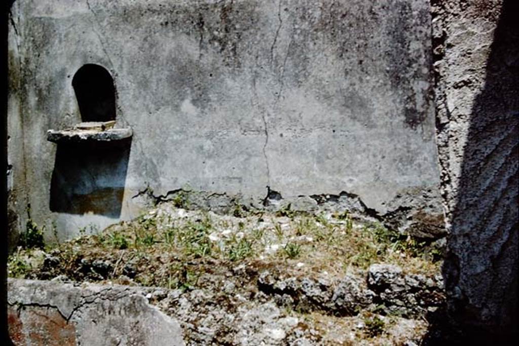 V.4.c Pompeii. 1961. Looking towards east wall of garden K, with niche.  Photo by Stanley A. Jashemski.
Source: The Wilhelmina and Stanley A. Jashemski archive in the University of Maryland Library, Special Collections (See collection page) and made available under the Creative Commons Attribution-Non Commercial License v.4. See Licence and use details.
J61f0856